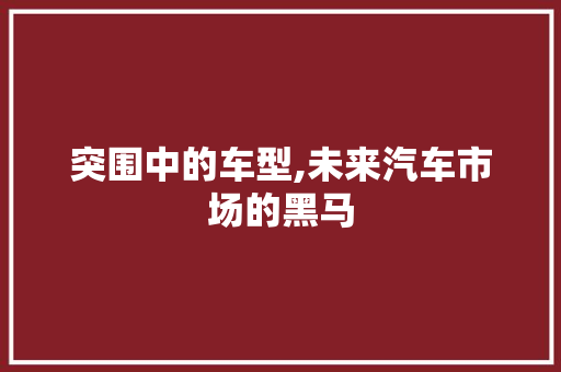 突围中的车型,未来汽车市场的黑马