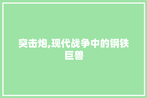 突击炮,现代战争中的钢铁巨兽