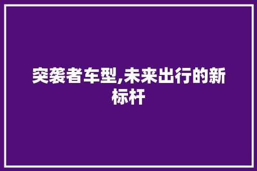 突袭者车型,未来出行的新标杆