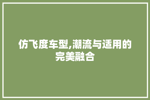 仿飞度车型,潮流与适用的完美融合