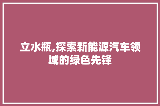 立水瓶,探索新能源汽车领域的绿色先锋