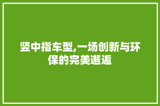 竖中指车型,一场创新与环保的完美邂逅