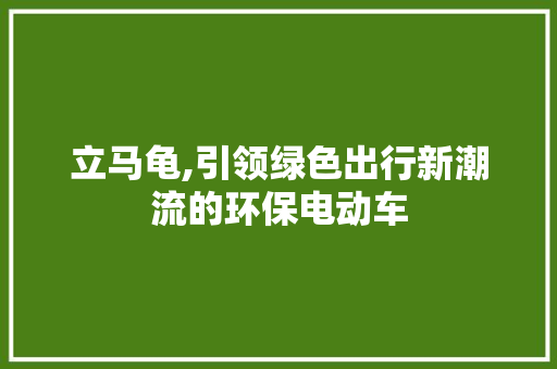 立马龟,引领绿色出行新潮流的环保电动车