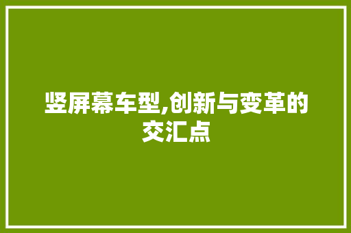 竖屏幕车型,创新与变革的交汇点