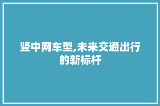 竖中网车型,未来交通出行的新标杆