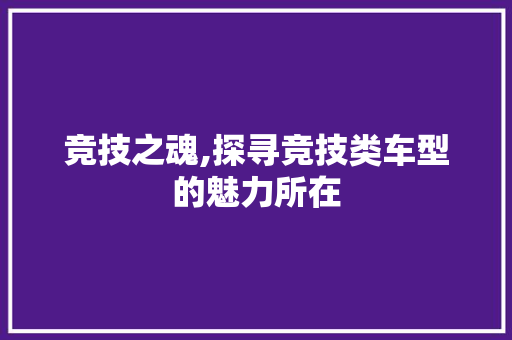 竞技之魂,探寻竞技类车型的魅力所在