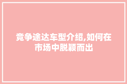 竞争途达车型介绍,如何在市场中脱颖而出