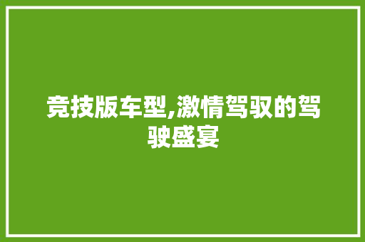竞技版车型,激情驾驭的驾驶盛宴
