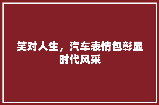 笑对人生，汽车表情包彰显时代风采