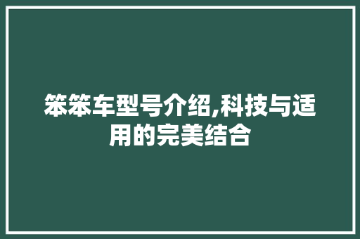 笨笨车型号介绍,科技与适用的完美结合