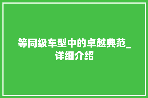 等同级车型中的卓越典范_详细介绍