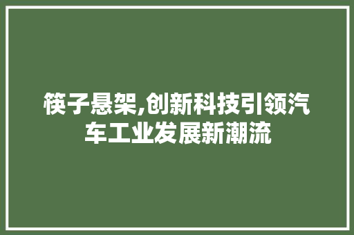 筷子悬架,创新科技引领汽车工业发展新潮流