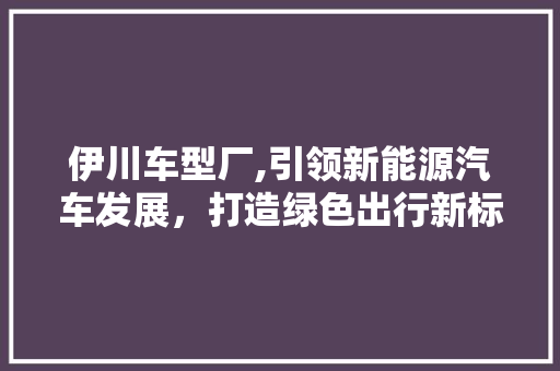 伊川车型厂,引领新能源汽车发展，打造绿色出行新标杆 车灯配件