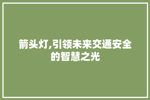 箭头灯,引领未来交通安全的智慧之光