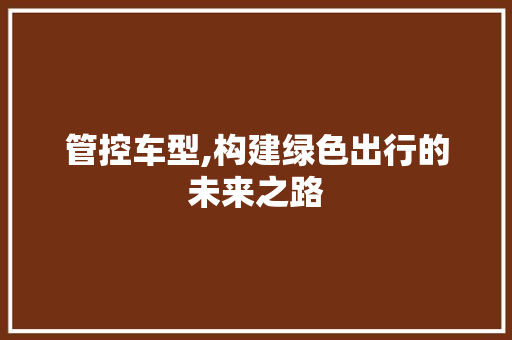 管控车型,构建绿色出行的未来之路