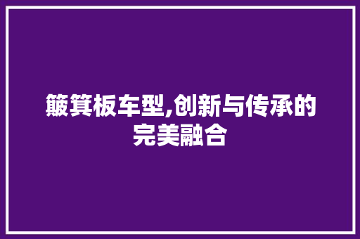 簸箕板车型,创新与传承的完美融合