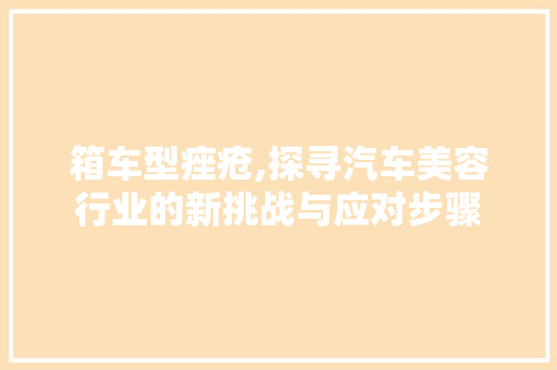 箱车型痤疮,探寻汽车美容行业的新挑战与应对步骤