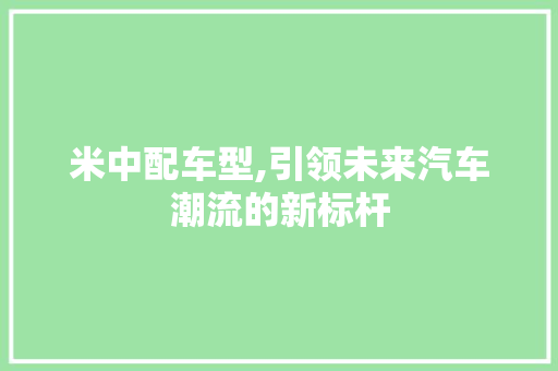 米中配车型,引领未来汽车潮流的新标杆