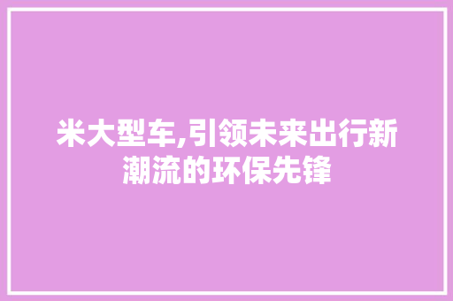 米大型车,引领未来出行新潮流的环保先锋