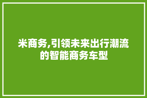 米商务,引领未来出行潮流的智能商务车型