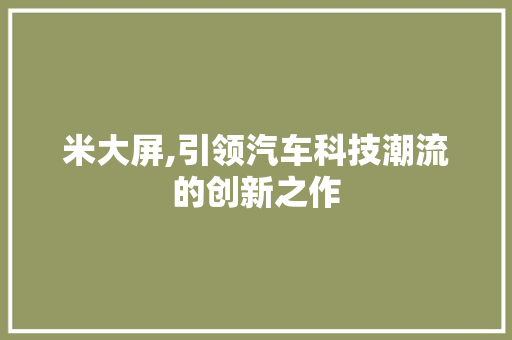 米大屏,引领汽车科技潮流的创新之作