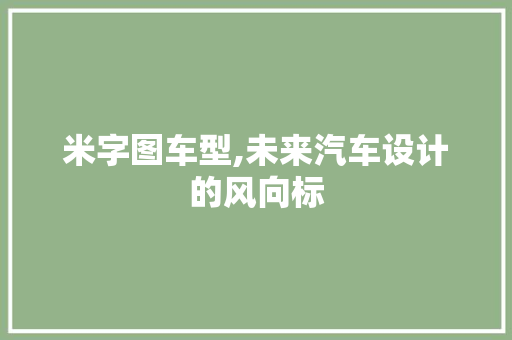 米字图车型,未来汽车设计的风向标