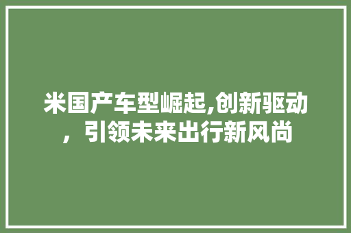 米国产车型崛起,创新驱动，引领未来出行新风尚