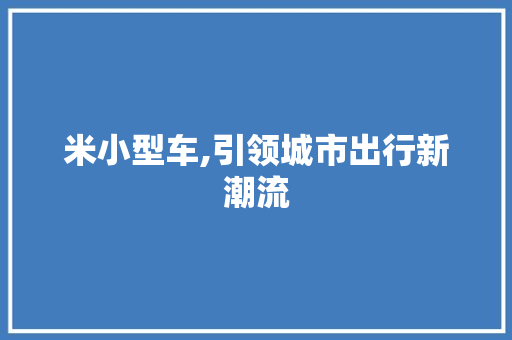 米小型车,引领城市出行新潮流
