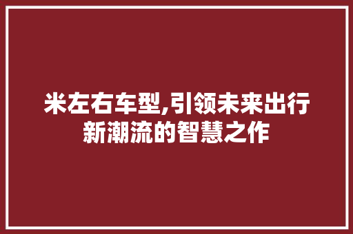 米左右车型,引领未来出行新潮流的智慧之作