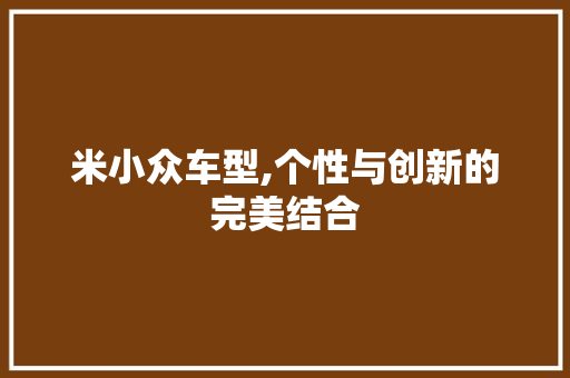 米小众车型,个性与创新的完美结合