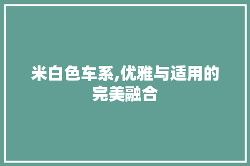 米白色车系,优雅与适用的完美融合