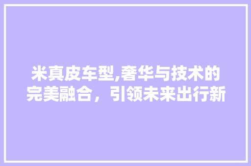 米真皮车型,奢华与技术的完美融合，引领未来出行新风尚