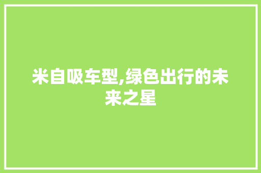 米自吸车型,绿色出行的未来之星