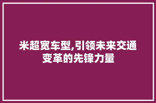 米超宽车型,引领未来交通变革的先锋力量