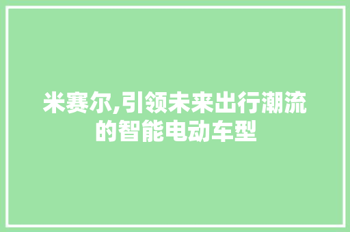 米赛尔,引领未来出行潮流的智能电动车型