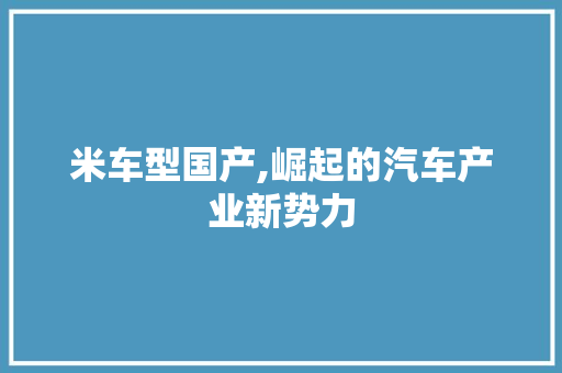 米车型国产,崛起的汽车产业新势力