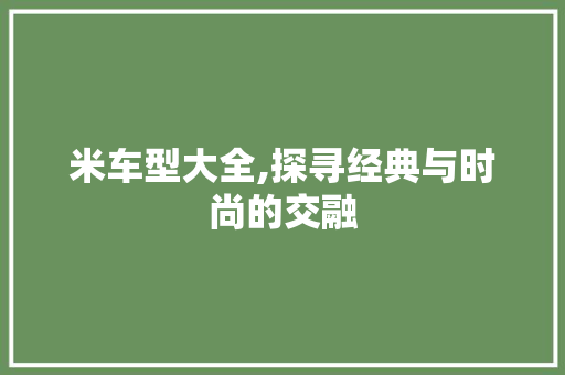 米车型大全,探寻经典与时尚的交融
