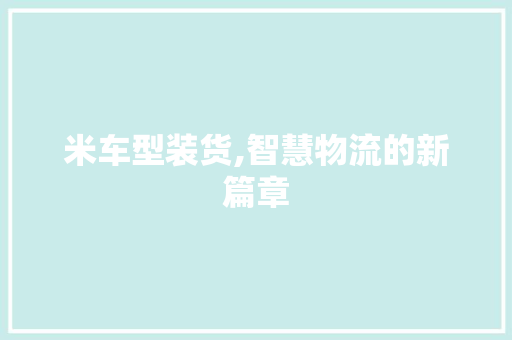 米车型装货,智慧物流的新篇章