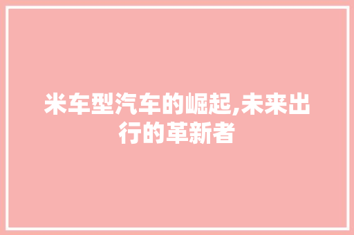 米车型汽车的崛起,未来出行的革新者