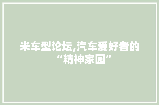 米车型论坛,汽车爱好者的“精神家园”