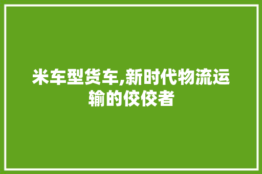 米车型货车,新时代物流运输的佼佼者