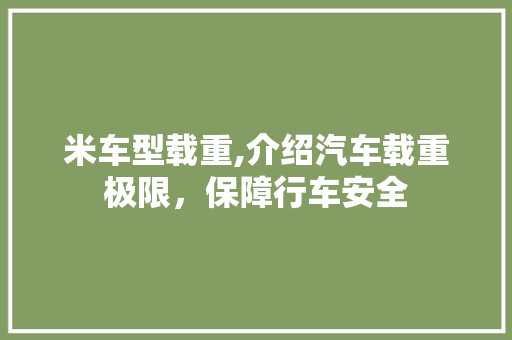 米车型载重,介绍汽车载重极限，保障行车安全