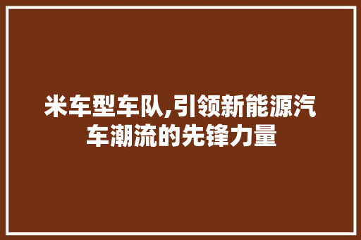 米车型车队,引领新能源汽车潮流的先锋力量