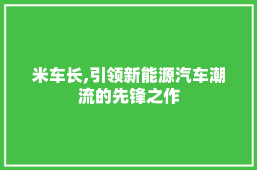 米车长,引领新能源汽车潮流的先锋之作