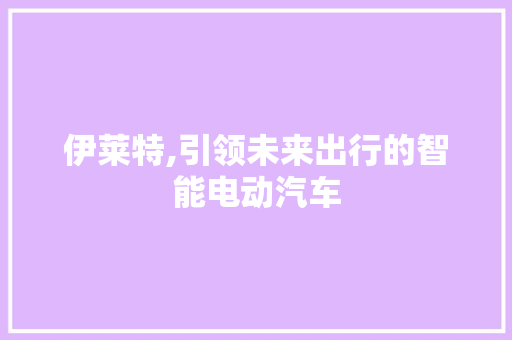 伊莱特,引领未来出行的智能电动汽车 车身配件