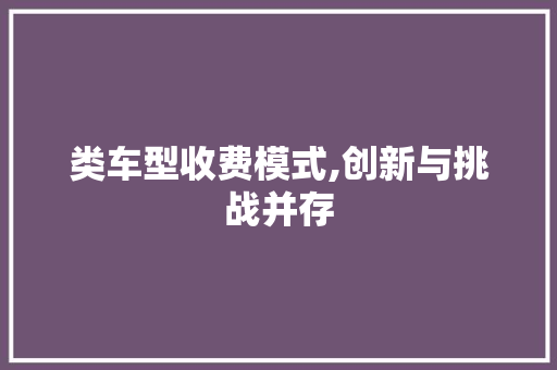 类车型收费模式,创新与挑战并存
