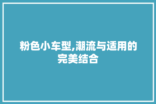 粉色小车型,潮流与适用的完美结合