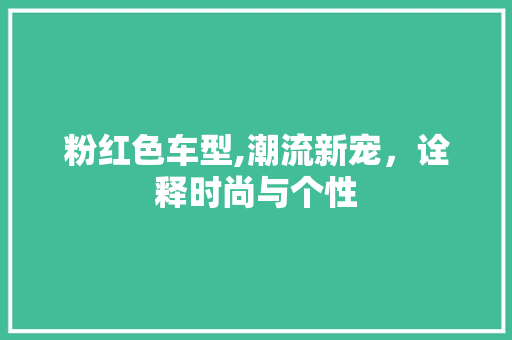粉红色车型,潮流新宠，诠释时尚与个性