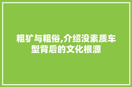 粗犷与粗俗,介绍没素质车型背后的文化根源