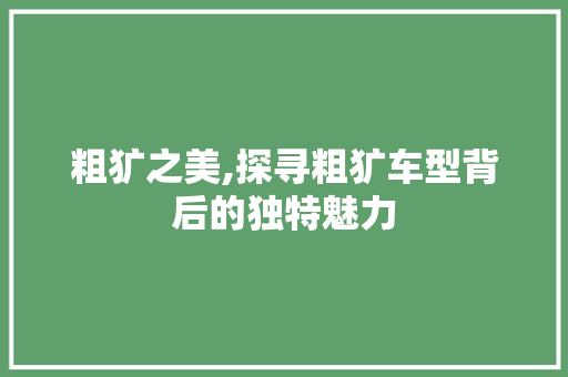 粗犷之美,探寻粗犷车型背后的独特魅力 汽车配件